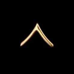 Discount ❤️ Other Brands Army Rank PV2 Non-Subdued Pin-On ✨