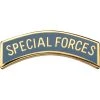 Buy ❤️ Army Special Forces Tab Dress Mini Sta-Brite Pin-On 🎁