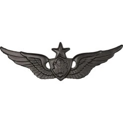 Best reviews of 😍 Sta-Brite Army Senior Aircrew Badge, Black ✨