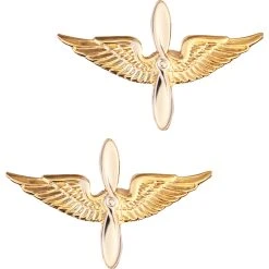 Deals 🌟 Sta-Brite Army Aviation Insignia 💯