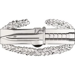 Promo 😉 Sta-Brite Army Combat Action Badge First Award, Full Size 🎉