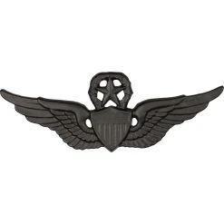 Best deal ⭐ Sta-Brite Army Master Aviation Badge, Black 💯
