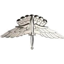 Discount ✨ Sta-Brite Army Basic Halo Wing Badge, Full Size ⭐
