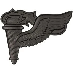 Best Pirce ⌛ Army Pathfinder Sta-Brite Black Pin-On 🎁