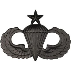 Budget ⌛ Army Parachutist Senior Sta-Brite Black Pin-On 🧨