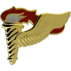 Hot Sale 🧨 Other Brands Army Badge, Regular Size Spec, Pathfinder Gold Plate ✔️