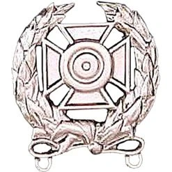 Best Sale 😉 Other Brands Army Badge, Regular Mirror Finish, Expert Shooting 😍