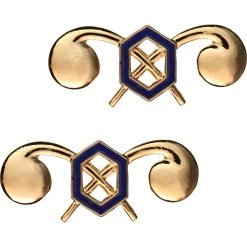 Promo 👏 Sta-Brite Army Chemical Insignia ✨